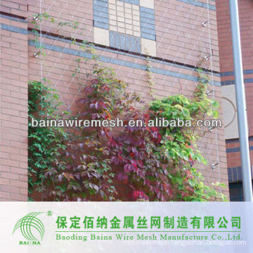 flexible green wall stainless steel cable mesh